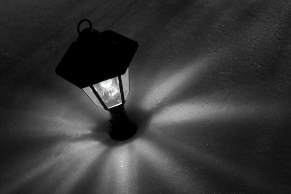 Monochrome still life of a garden lantern