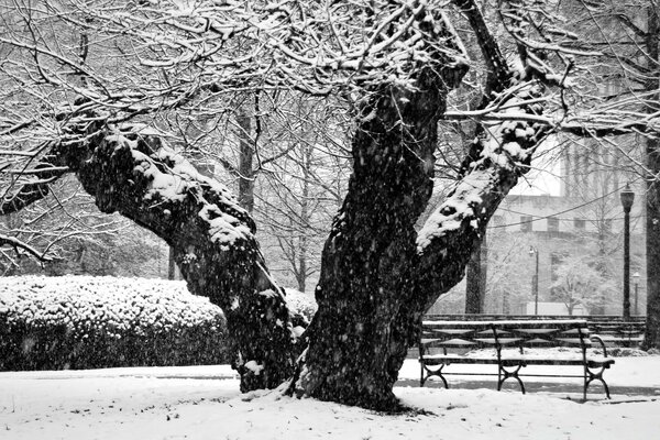 Winterstadtlandschaft mit Bank