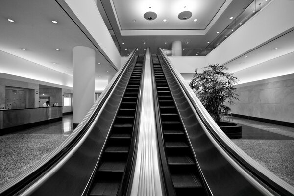 Escalator leading up in black and white effect