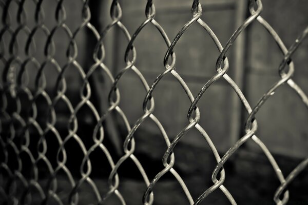 Chain link fence