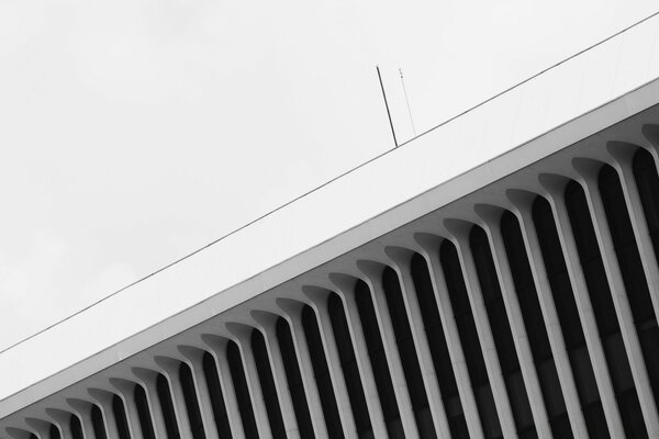 Blanco y negro en la arquitectura moderna de las casas