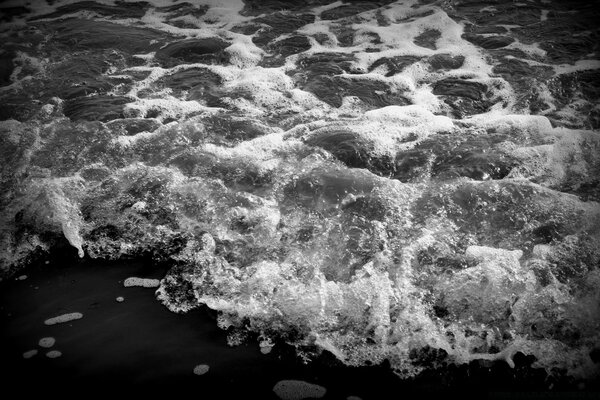 Image en noir et blanc de l eau de mer