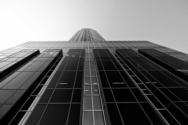 Moderno edificio alto en blanco y negro