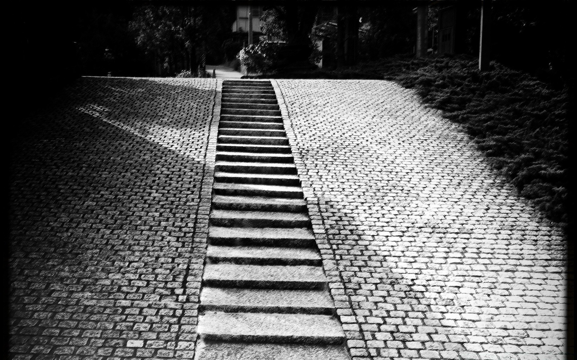 blanco y negro calle monocromo carretera escritorio urbano