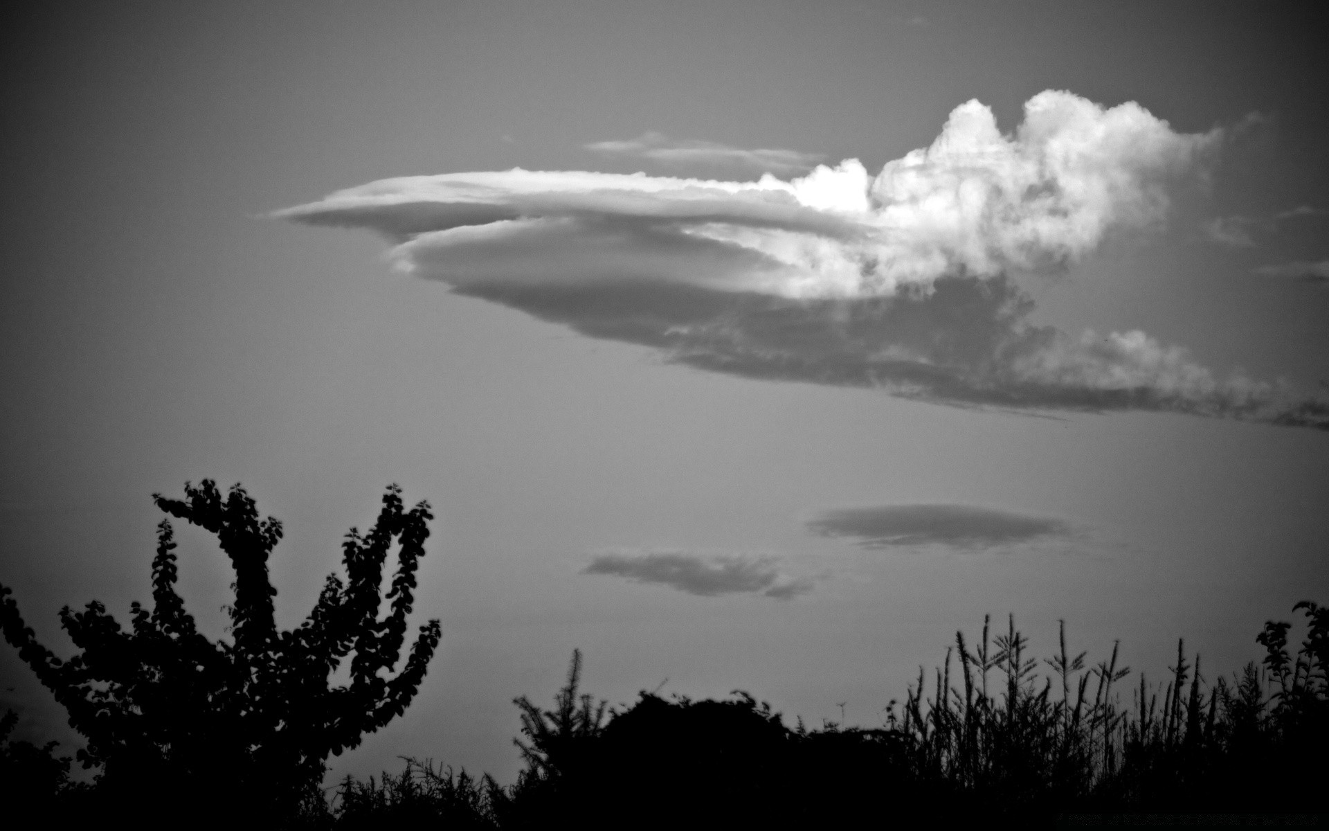 blanco y negro monocromo naturaleza cielo puesta de sol niebla amanecer al aire libre sol paisaje agua niebla árbol viajes