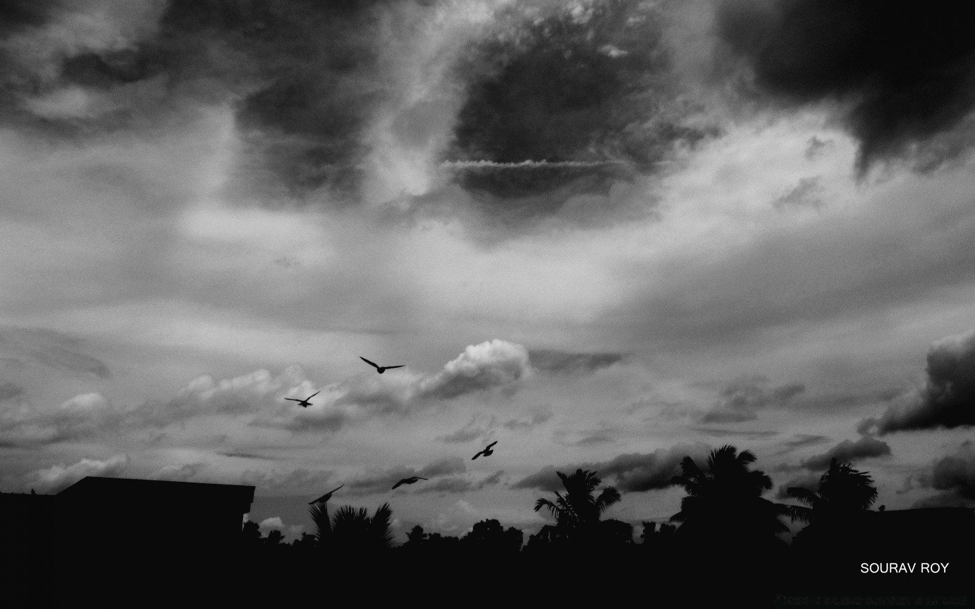 black and white monochrome sky storm landscape sunset rain weather nature silhouette sun dramatic dawn cloud light dark outdoors thunderstorm fog