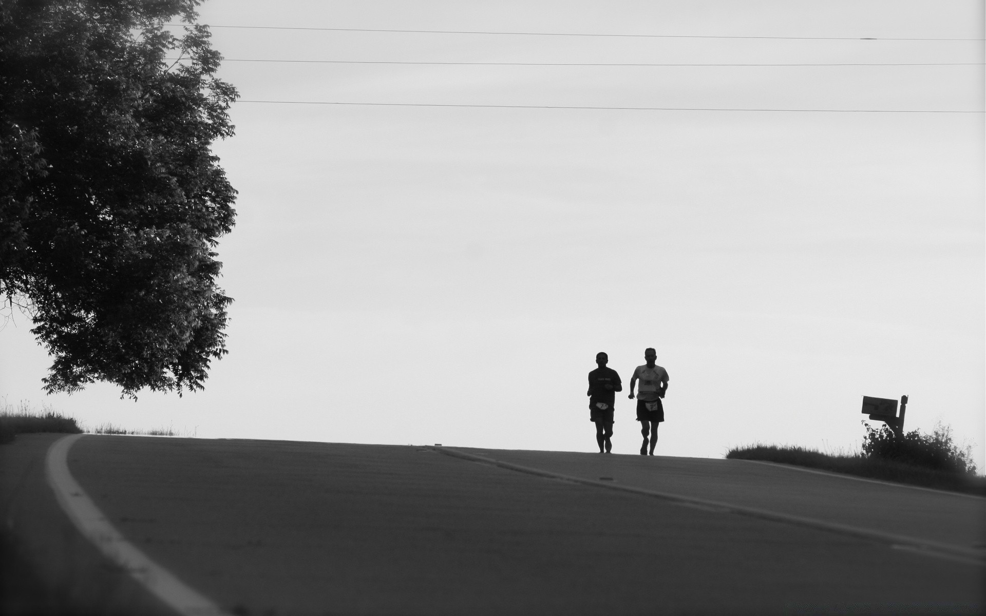 black and white landscape road tree street transportation system vehicle light action outdoors winter race travel daylight silhouette sky guidance shadow track