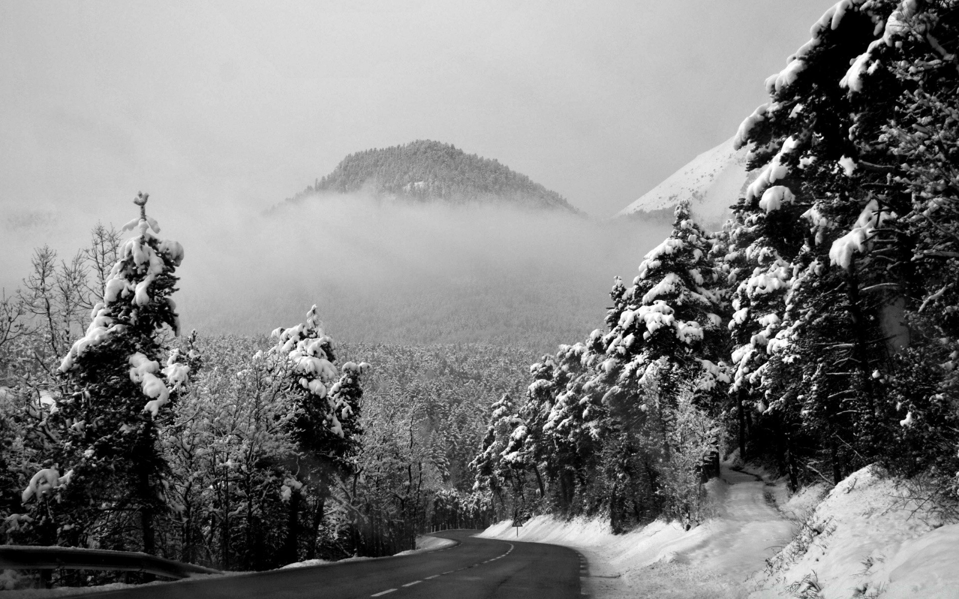 czarno-biały śnieg zima drzewo mgła krajobraz zimne drewno góry lód na zewnątrz mgła mróz natura sceniczny pogoda monochromatyczny