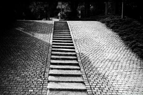 Escalones y escaleras que conducen a la entrada