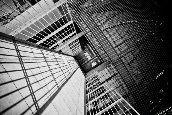 Arquitectura de oficina en blanco y negro