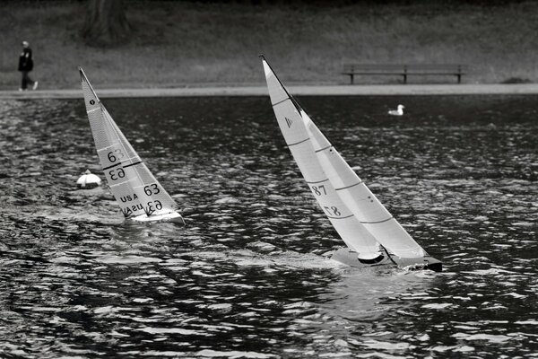 Windsurf em um rio tranquilo