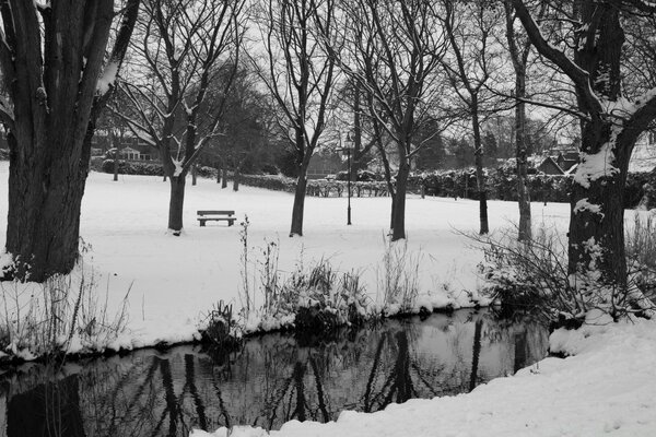 Clima frío de invierno en blanco y negro