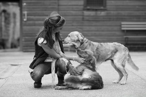 Imagem em preto e branco de um canino com um cachorro