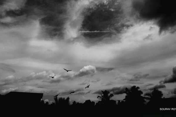 Black and white image of the sky with a storm