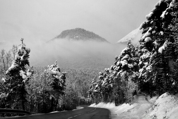 Schwarz-Weiß-Bild des Nebels im Winter