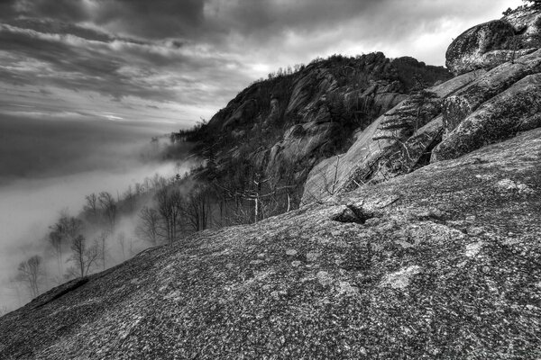 Photo panoramique du paysage des montagnes