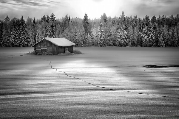 Black and white landscape of the hut