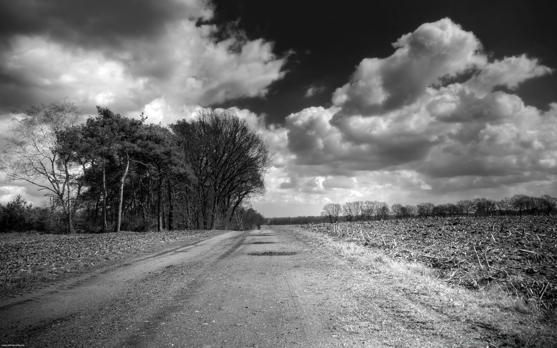 czarno-biały monochromatyczny droga krajobraz drzewo natura niebo ulica przewodnik burza wiejski ciemny pole jesień chmura