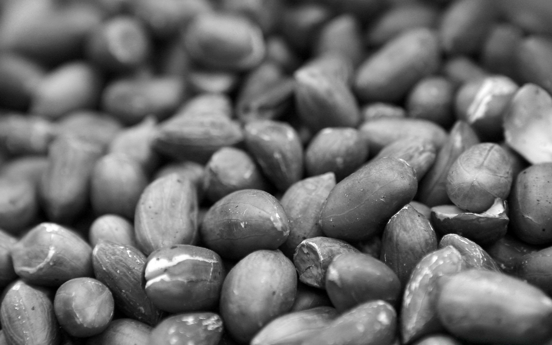 blanco y negro alimentos frijoles primer plano escritorio textura partido salud nutrición semilla vegetal pila seco cerca saludable muchos legumbres agricultura naturaleza