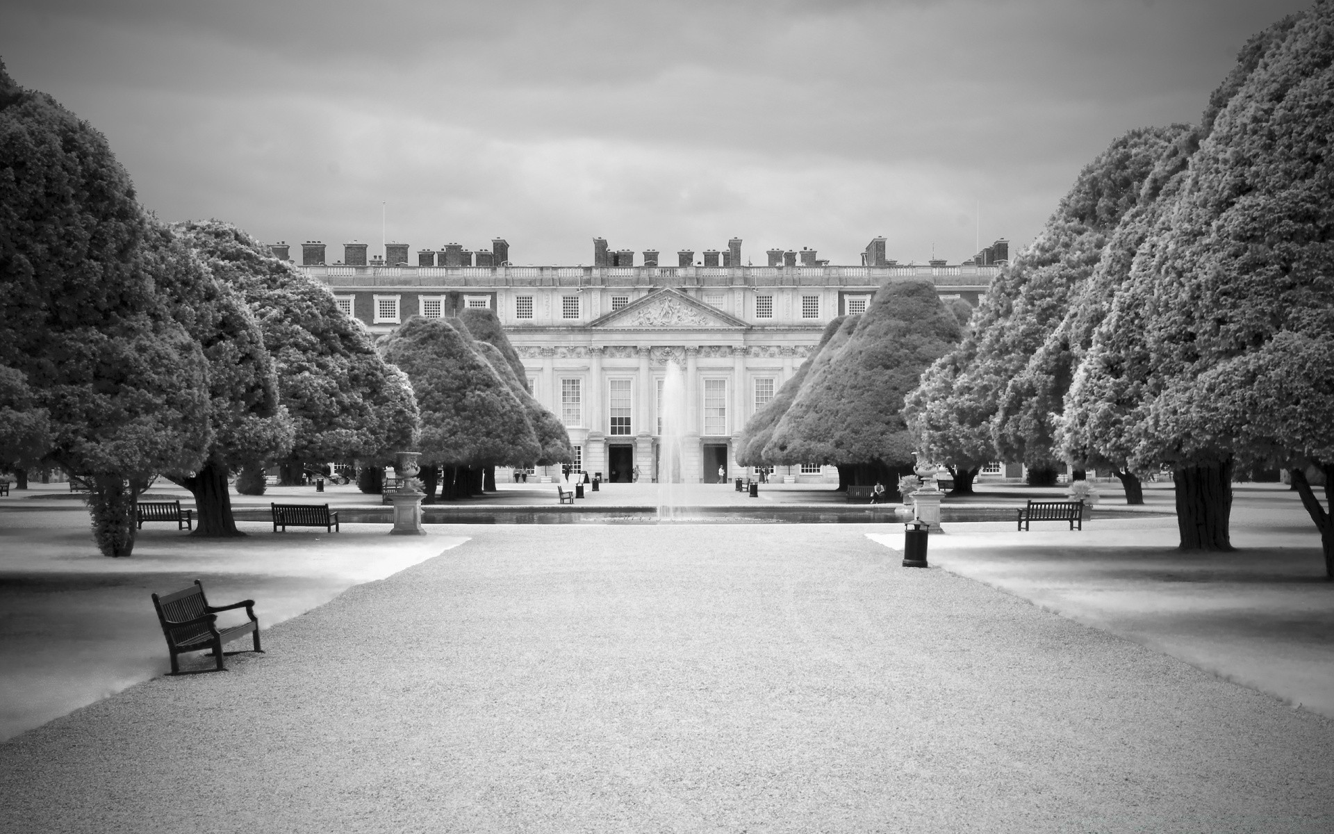 czarno-biały drzewo ulica podróże park architektura miasto monochromatyczny droga