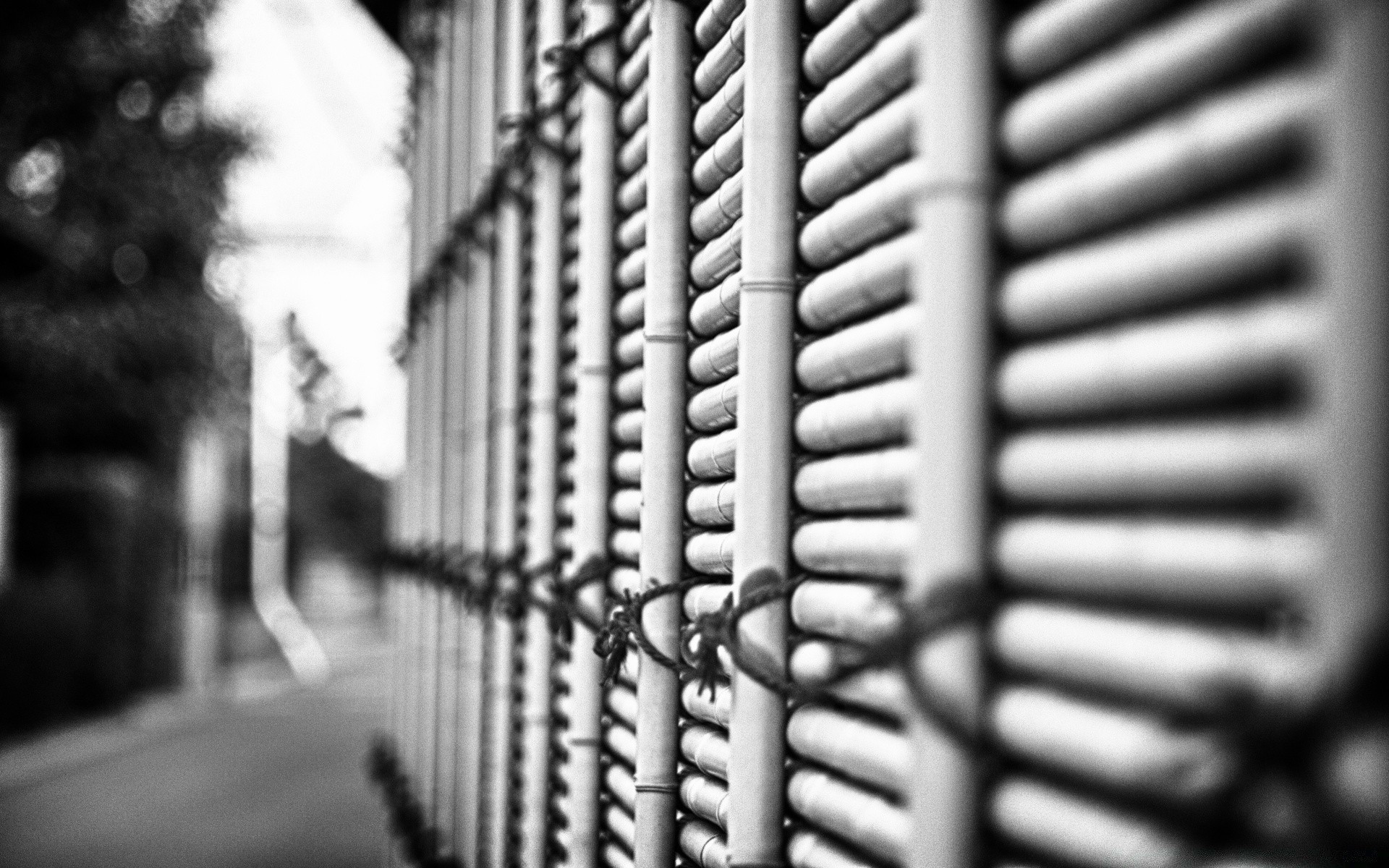 noir et blanc architecture ville rue en plein air sécurité urbain maison fenêtre fils monochrome entreprise vieux voyage clôture verre