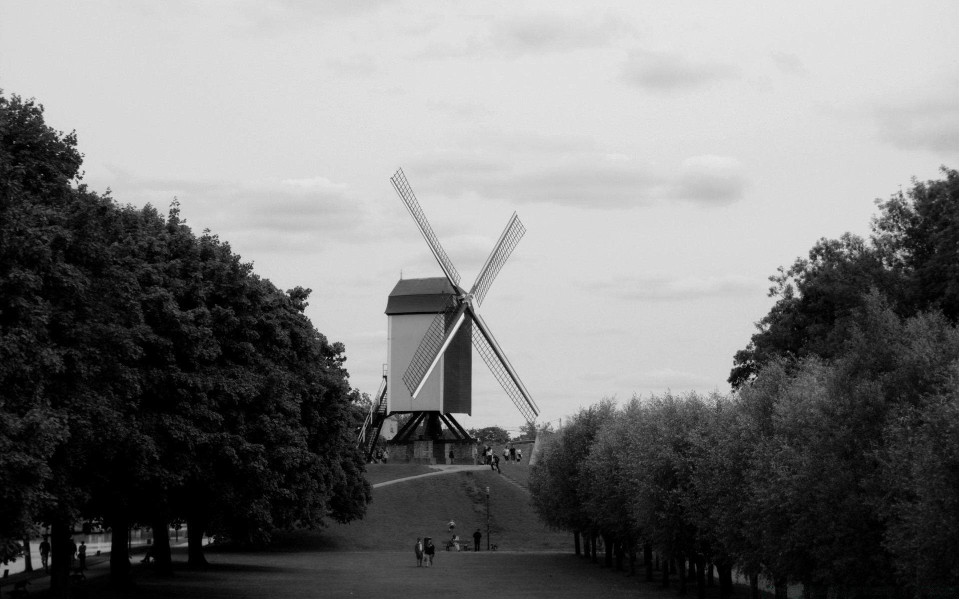 noir et blanc moulin à vent vent arbre paysage à l extérieur environnement ciel meuleuse nature énergie un