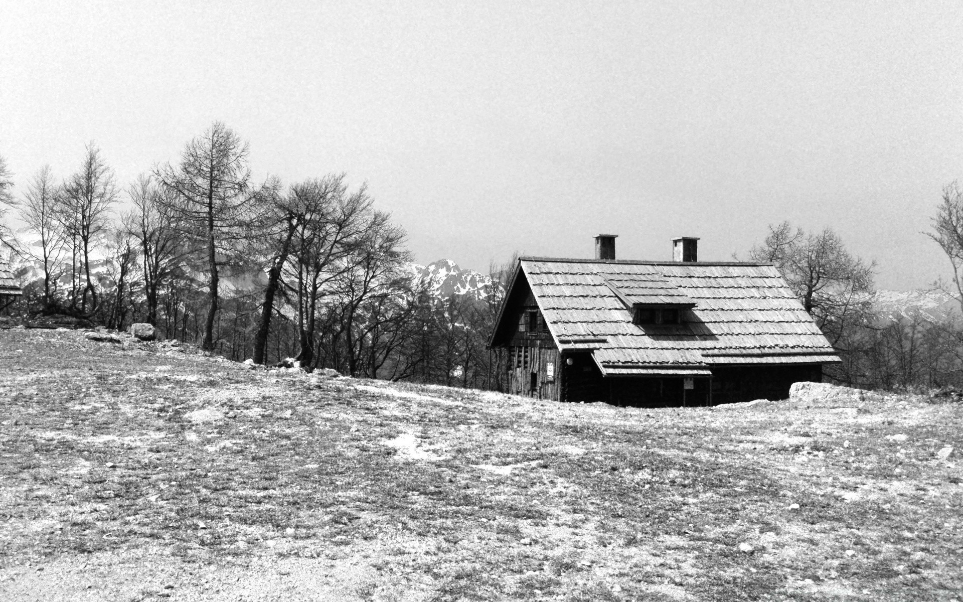 blanco y negro invierno árbol nieve madera paisaje casa casa casa