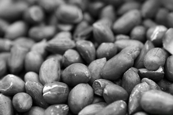 Black and white image of beans for desktop