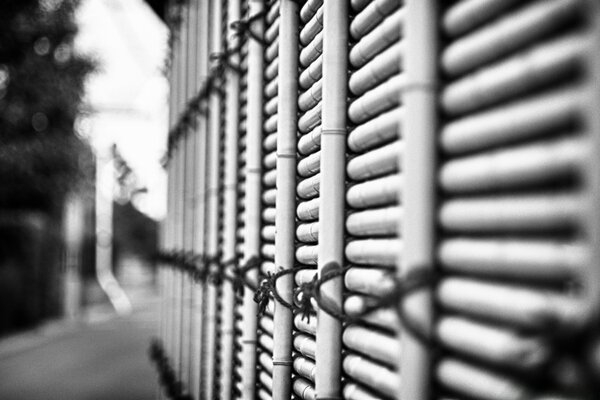 照片单色铁丝网围栏