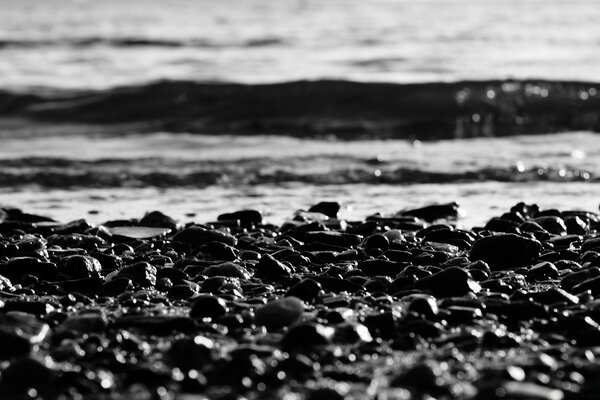 A pebble beach and a quiet surf-black and white landscape