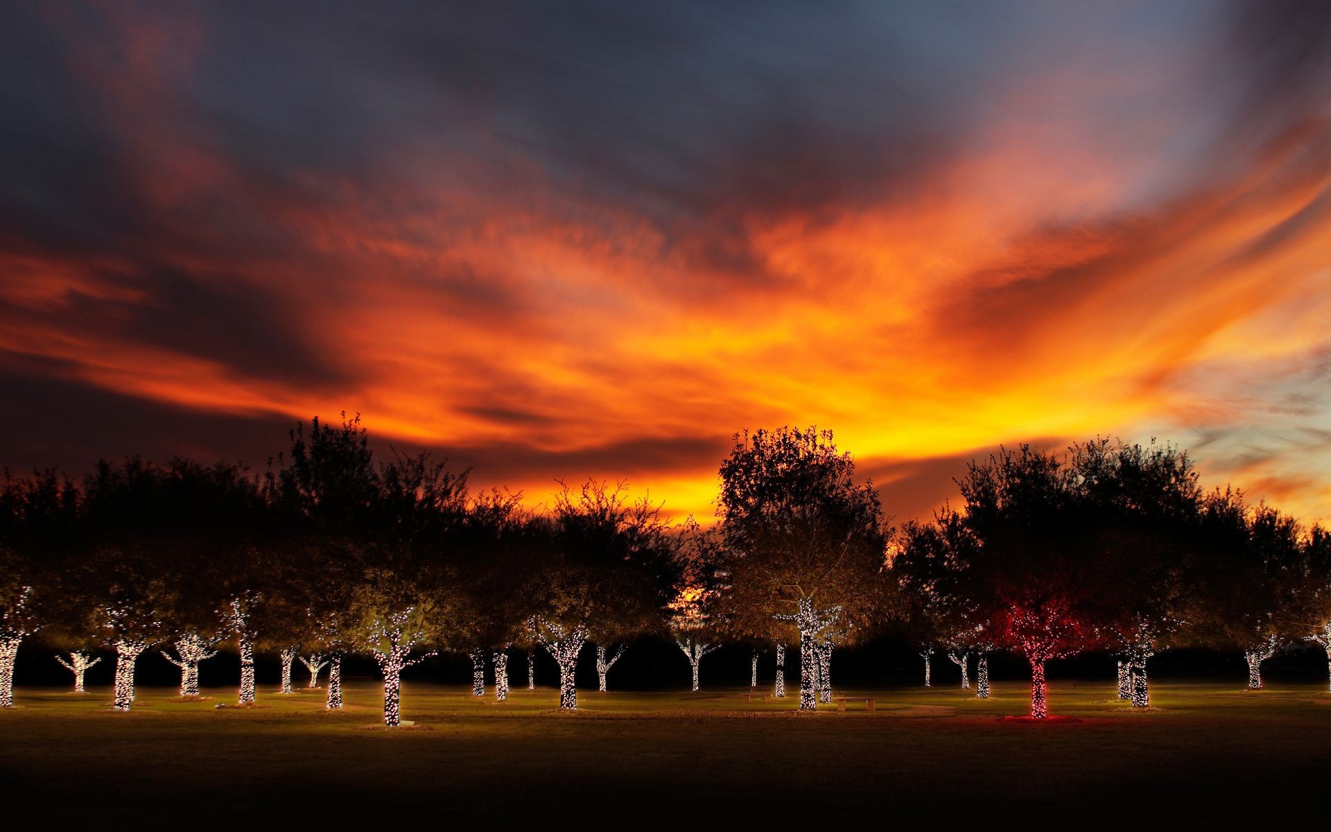 the sunset and sunrise dawn sunset evening sky dark sun dusk travel nature fall outdoors light