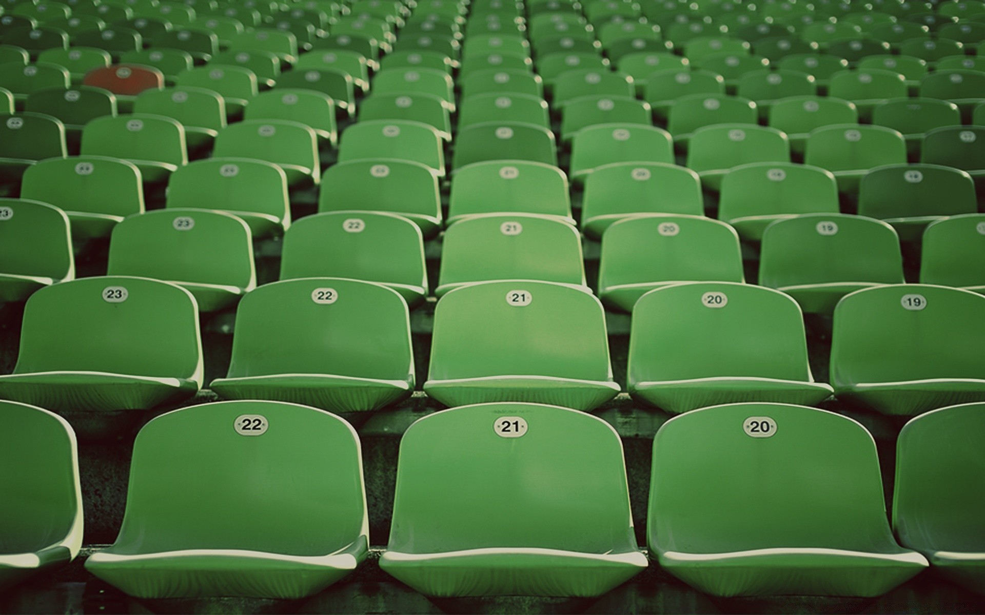 casa e interni stadio auditorium tribuna sede tribuna calcio calcio auditorium tribuna sedia giochi spettatore molti vacanti sede teatro campionato fila segmento folla