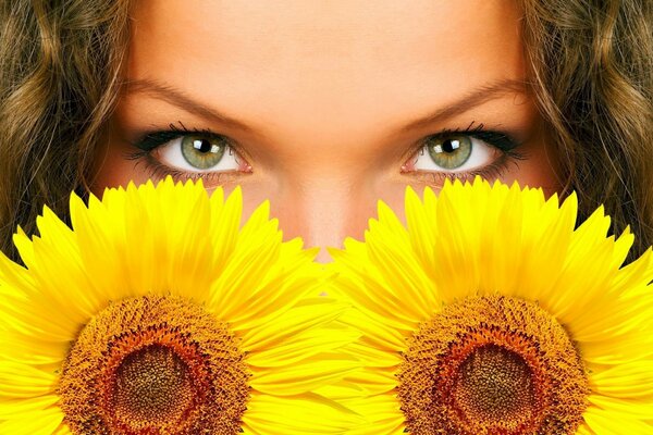 Yeux regardant sous deux tournesols. Le regard qui se cache derrière les tournesols