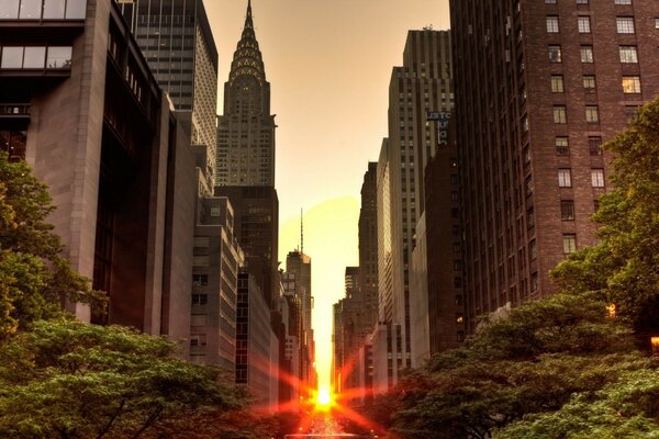 The sun breaks through the skyscrapers