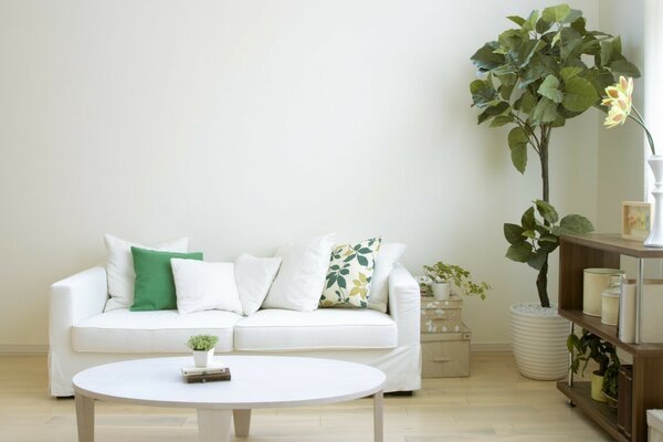 Room divantdere in aorzinestol and sofa white walls white floor beige