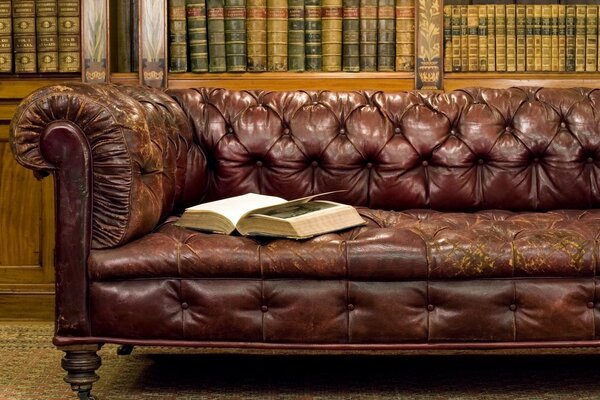 Library old leather sofa