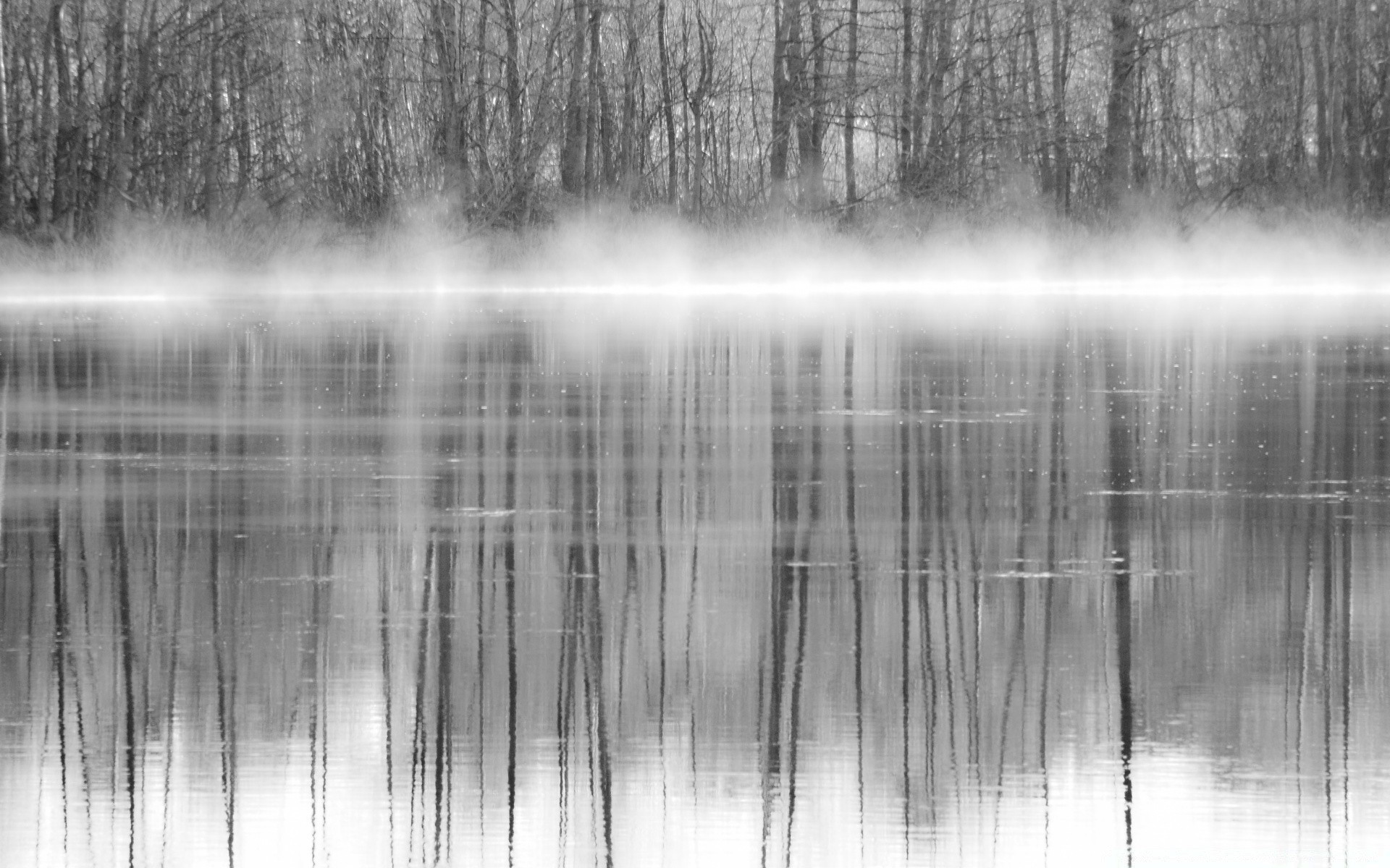 blanco y negro reflexión lago madera agua río naturaleza paisaje árbol monocromo al aire libre