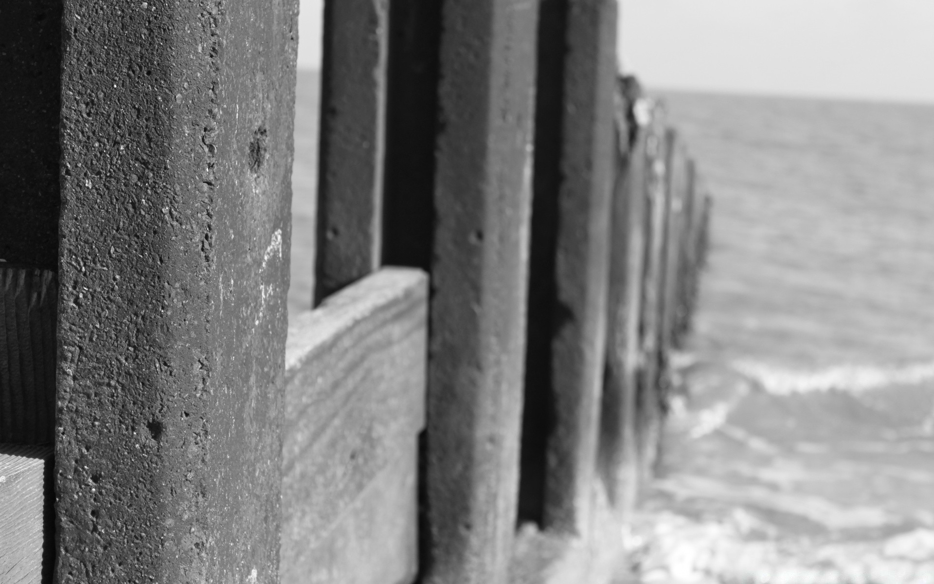 schwarz und weiß winter schnee wasser monochrom im freien natur strand regen meer