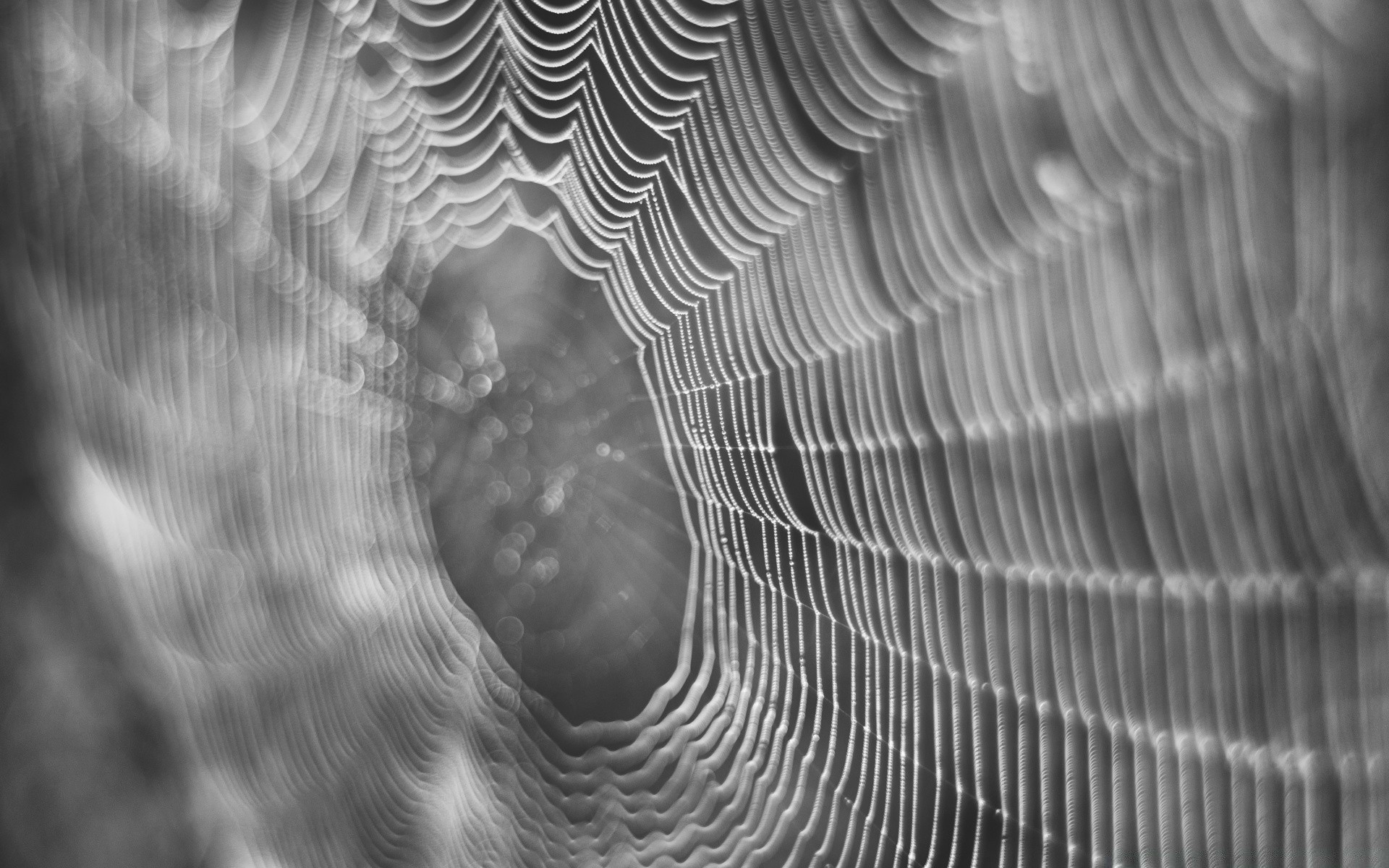 noir et blanc résumé texture modèle conception bureau araignée lumière nature web toile d araignée art ligne forme eau papier peint sombre futuriste