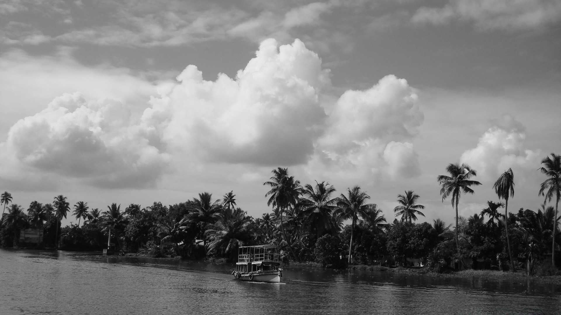 noir et blanc eau arbre plage palm voyage île tropical à l extérieur lac ciel océan paysage mer réflexion loisirs