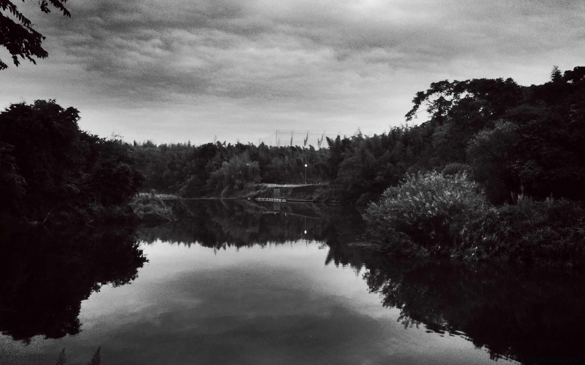 czarno-biały jezioro woda krajobraz odbicie drzewo mgła rzeka świt monochromatyczny natura mgła zachód słońca niebo na zewnątrz