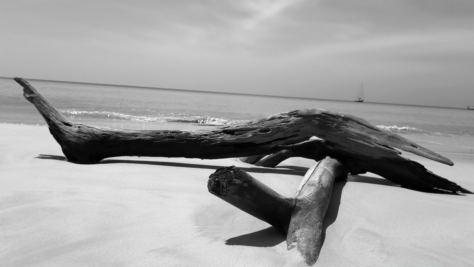 чорно-біле пляж води море океан монохромний моря пейзаж захід пісок світанок подорожі пейзаж небо