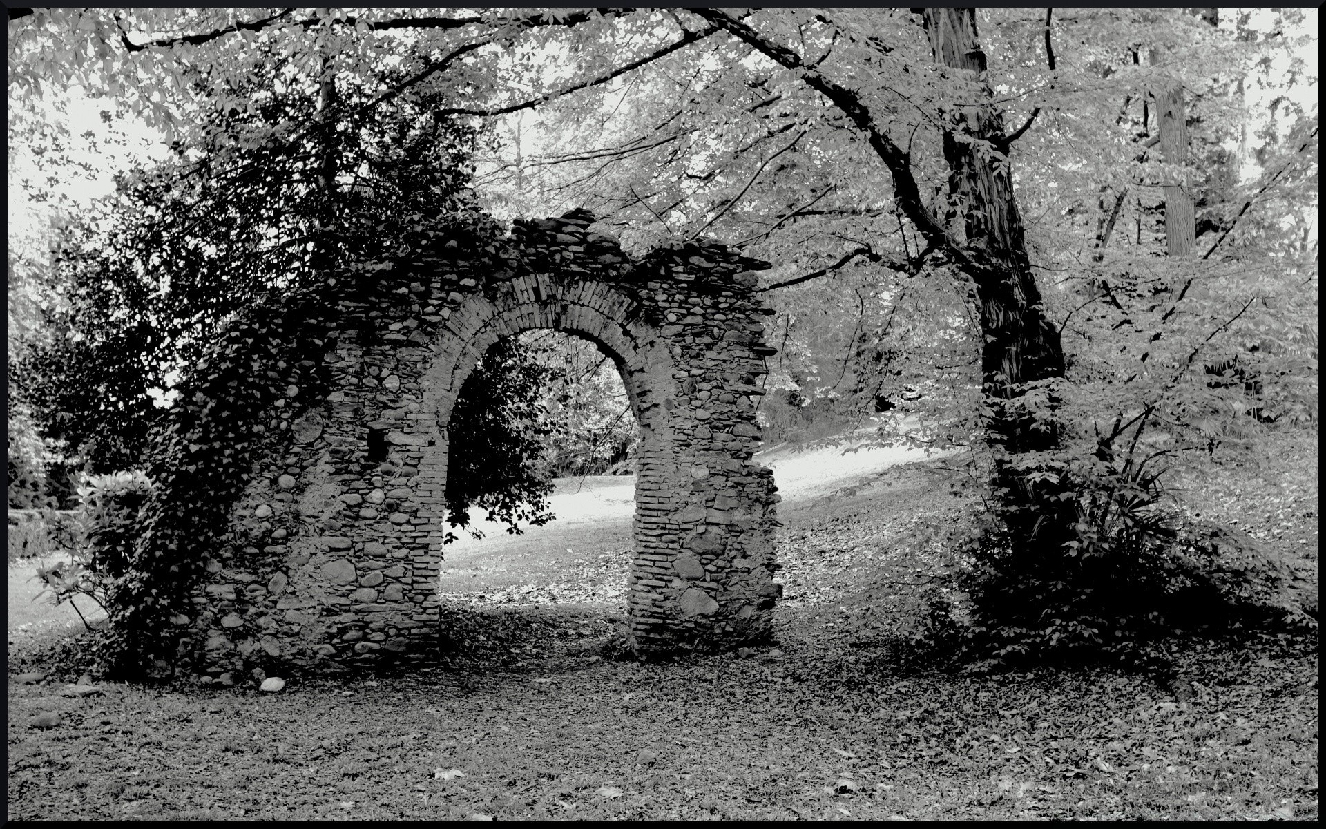 noir et blanc bois antique pierre vieux architecture voyage mur