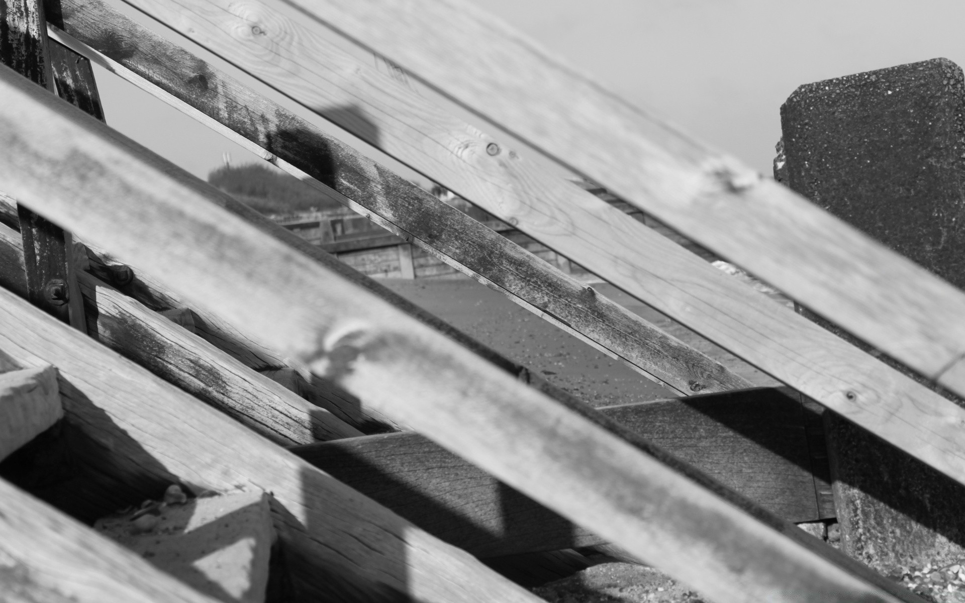 in bianco e nero legno in bianco e nero vecchio