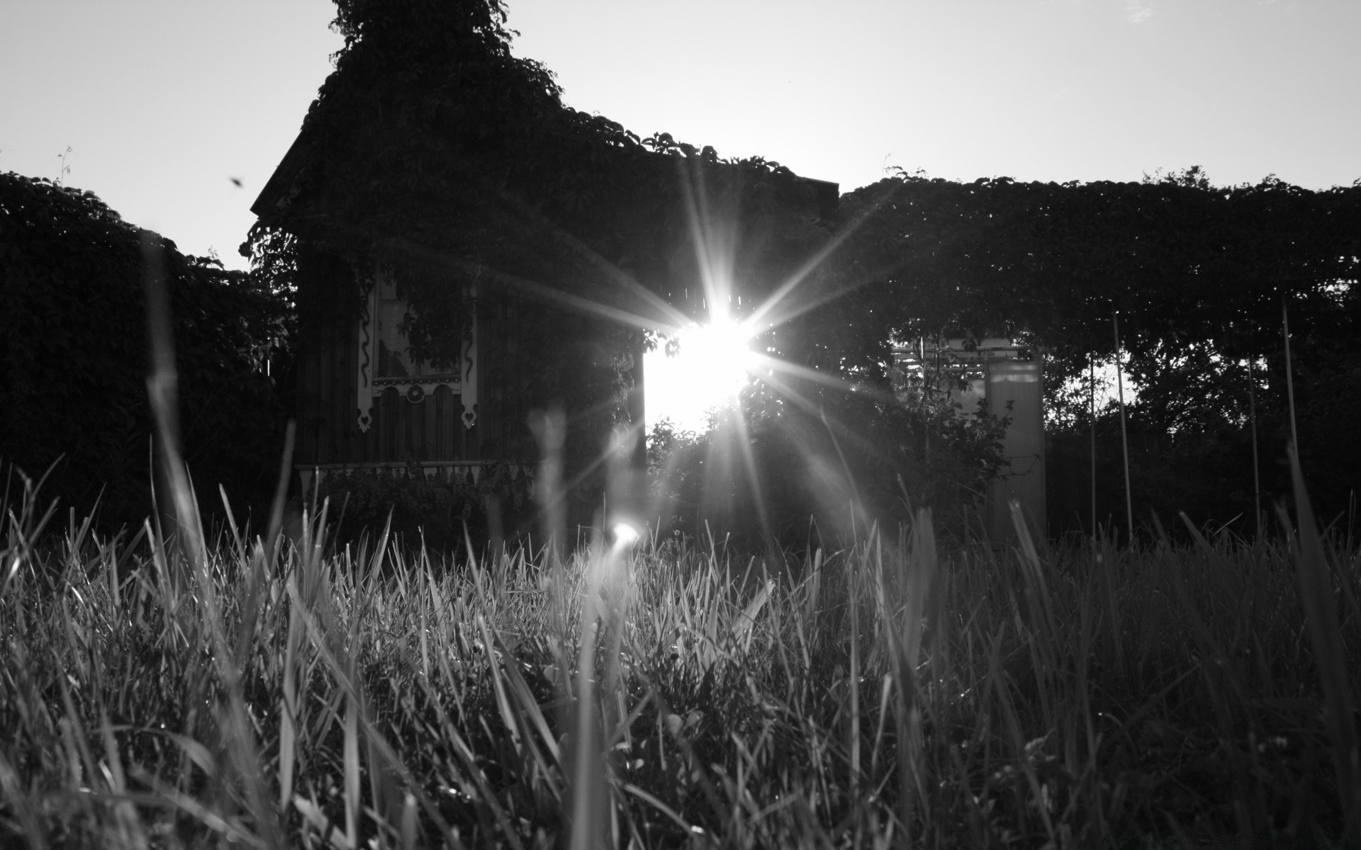 schwarz und weiß sonne landschaft gras feld natur dämmerung bauernhof des ländlichen licht sonnenuntergang himmel im freien gutes wetter landschaft