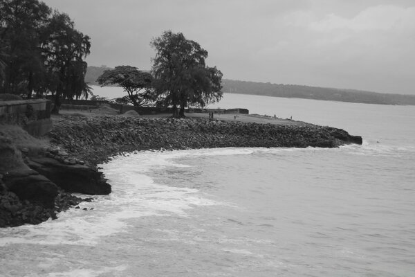 Paisaje con mar en tonos blanco y negro