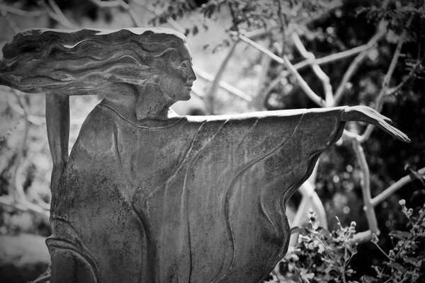 Statue in nature black and white