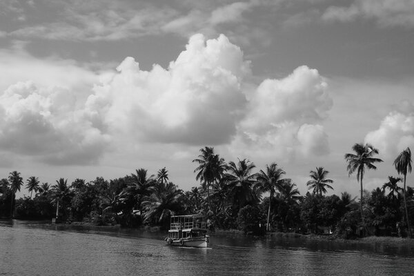 Imagen en blanco y negro de una playa con palmeras