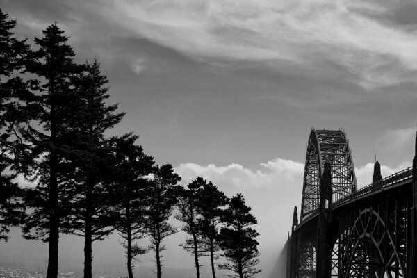 The forest next to the bridge is black and white