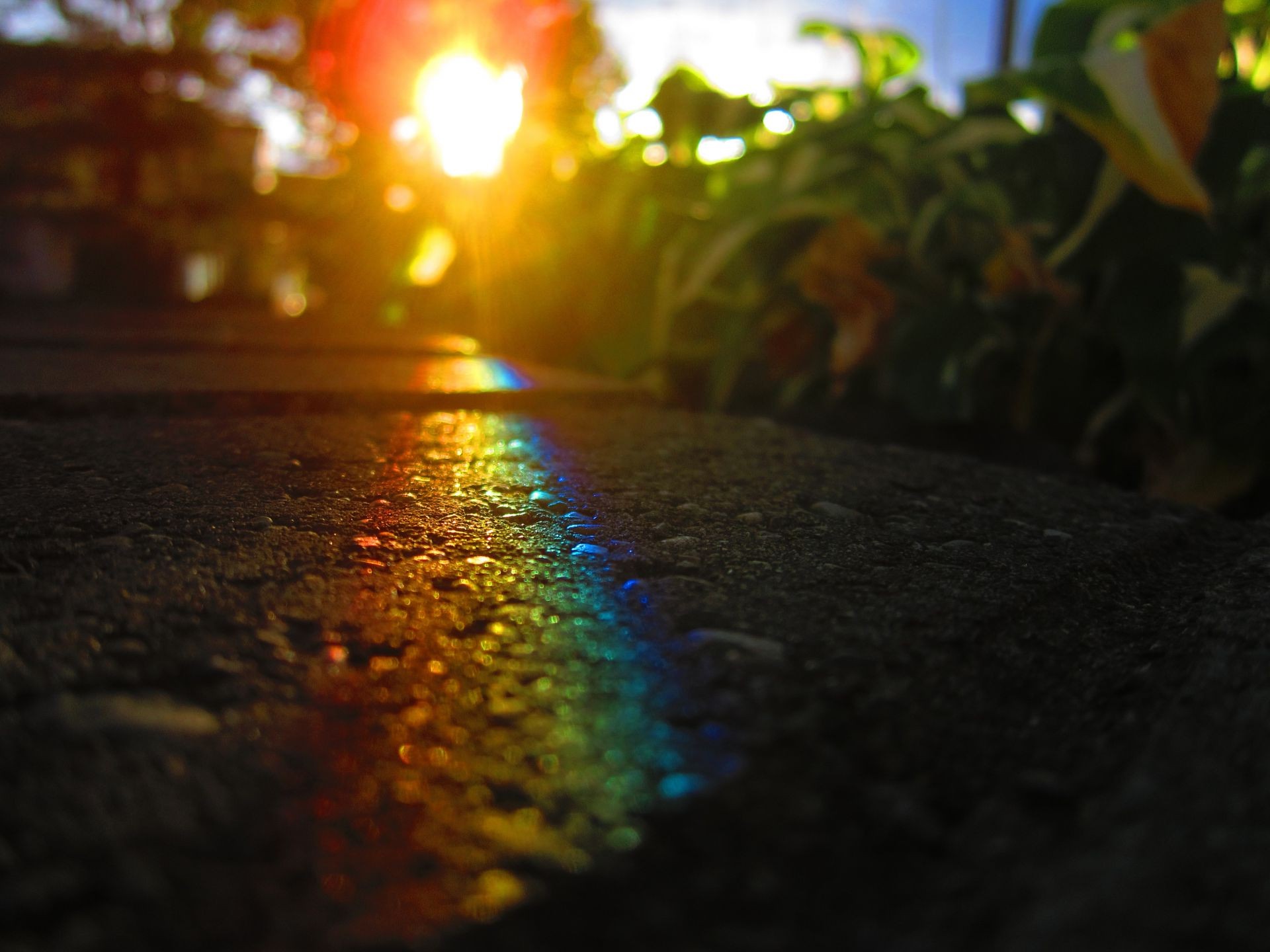 macro blur light dark sunset sun street